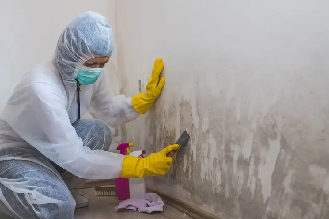 water damage restoration service Fairmount Park